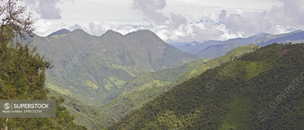 Views from the Yanacocha reserve near Quito, Ecuador.