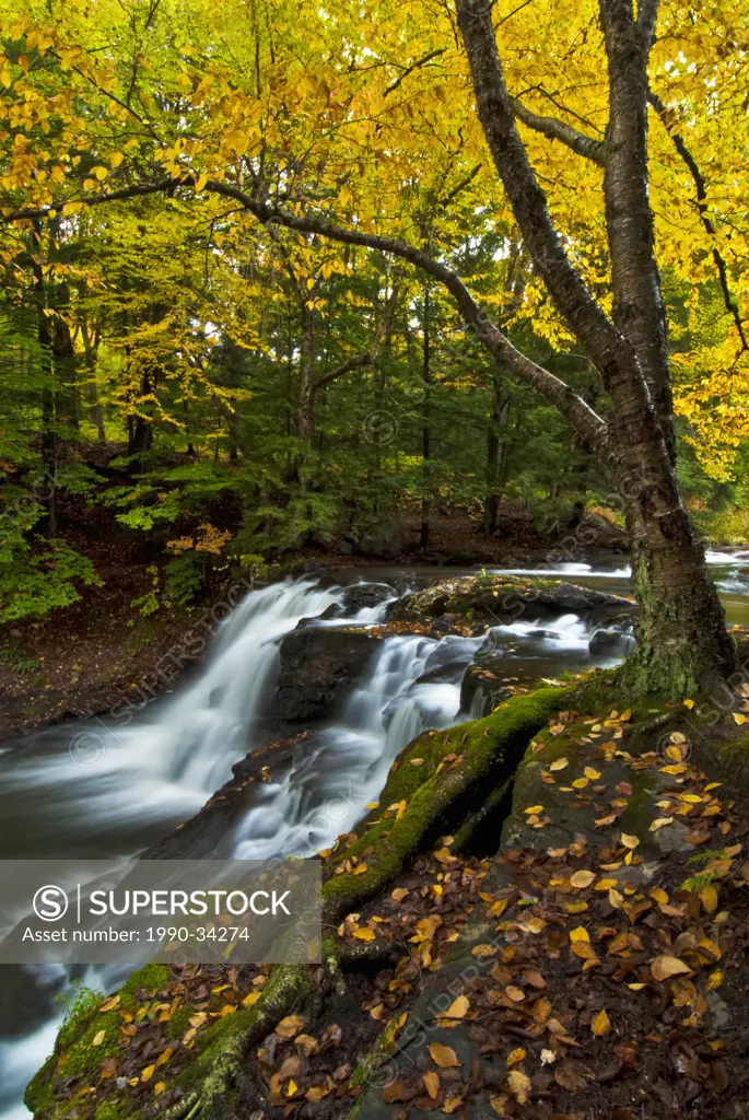 Skeleton Falls also known as Minnehaha Falls on the Skeleton River in Ontario´s Muskoka Region near the town of Rosseau