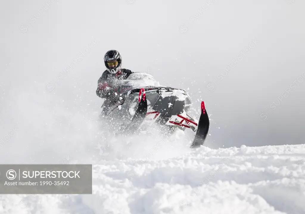 Fresh and deep powder greets this snowmobiler punching through snowdrifts in the mountains north of Campbell River. Campbell RIver, Vancouver Island, ...