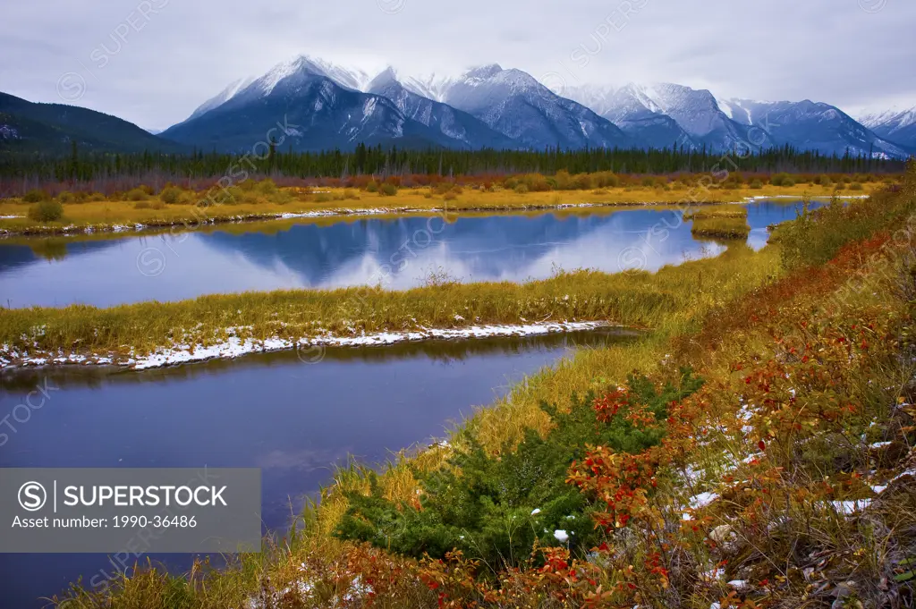 Rocky Mountains overlooking a marshy autumn landscape in Jasper National Park, Alberta, Canada.