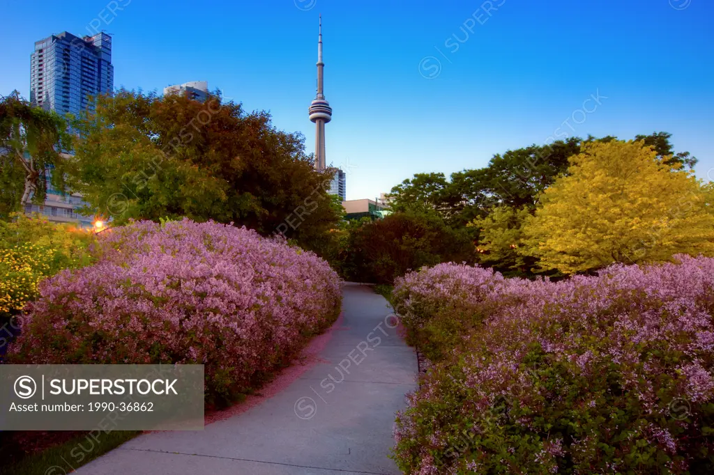 Flower Garden on Centre Island in Toronto, City view;Downtown;CN Tower;Lake  Ontario,Ontario;Canada;North America Stock Photo - Alamy