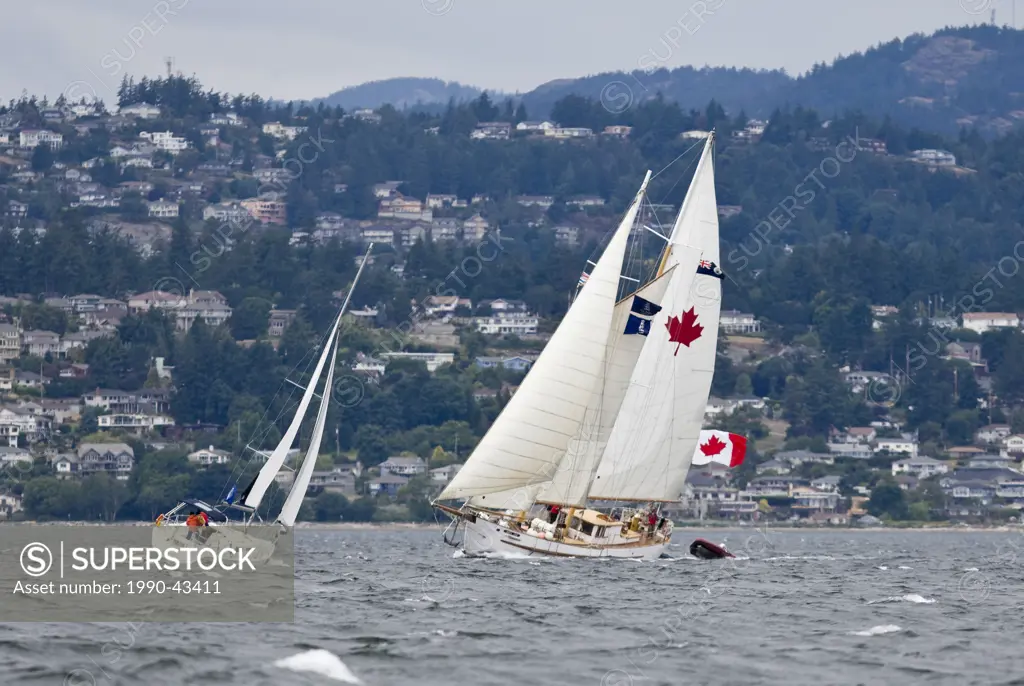 The Schooner, Maple Leaf under full sail transits the waters just off of Ogden Point during the Tall Ships Festival, held in Victoria. Victoria, South...