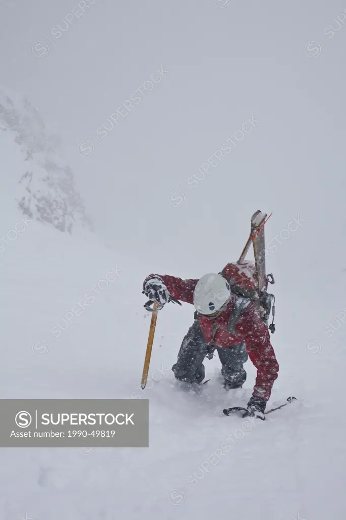 A middle aged man bootpacks up the famous Aemmer coulior on Mt Temple, Lake Louise, Banff National Park, Alberta, Canada