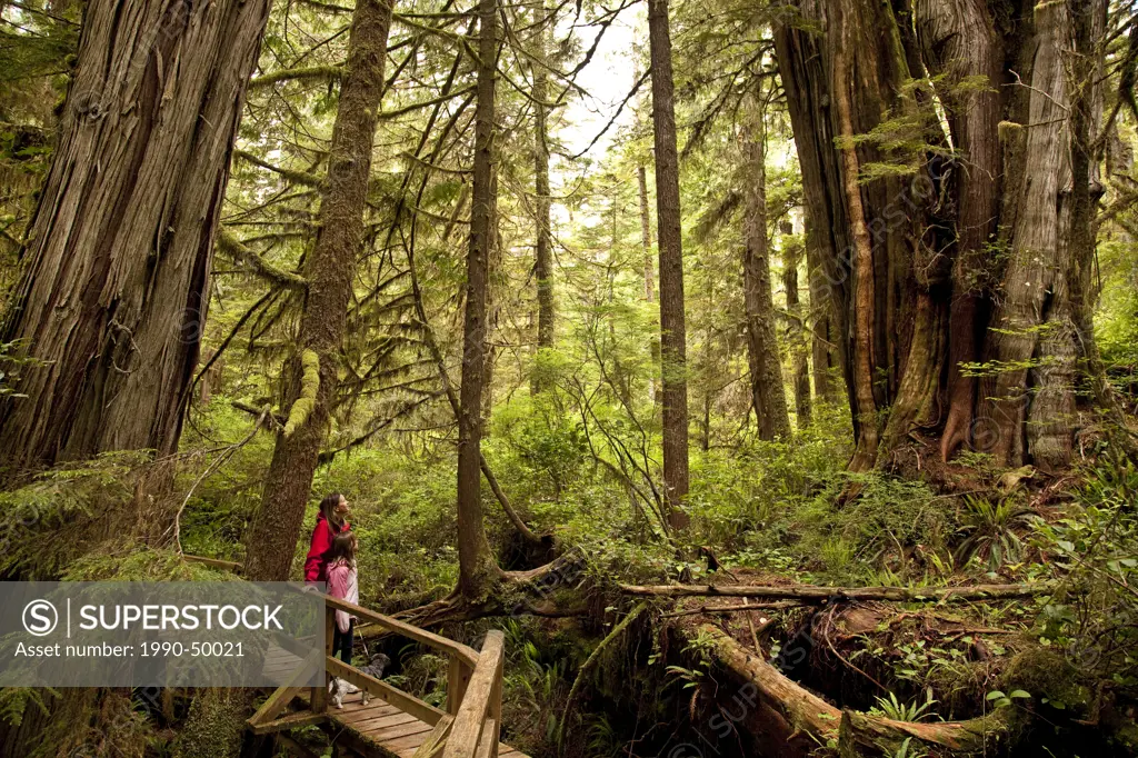 Mother and daughter check out Rainforst Trail, Pacific Rim National Park, near Tofino, BC, Canada.