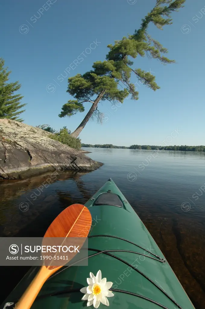 Kayak, Pine, Island, Kahshe Lake, Muskoka, Ontario