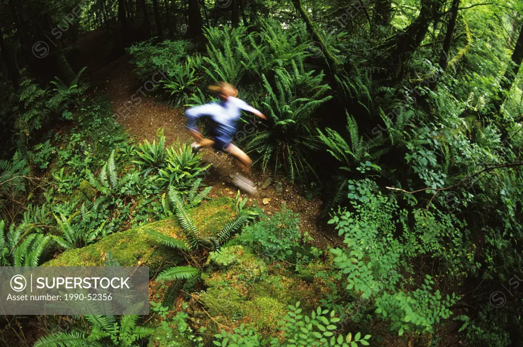 Woman running the trails below the Lynn Canyon Suspension Bridge, North Vancouver, British Columbia, Canada.