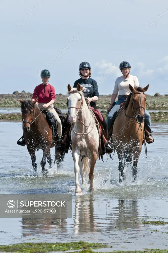 Women riding horses for recreation on the beach at Merville, Vancouver Island, British Columbia, Canada