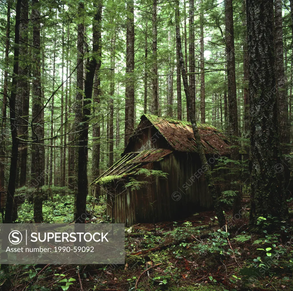 Abandoned Old Cabin, Mt Elphinstone, Roberts Creek, Sunshine Coast, B.C., Canada