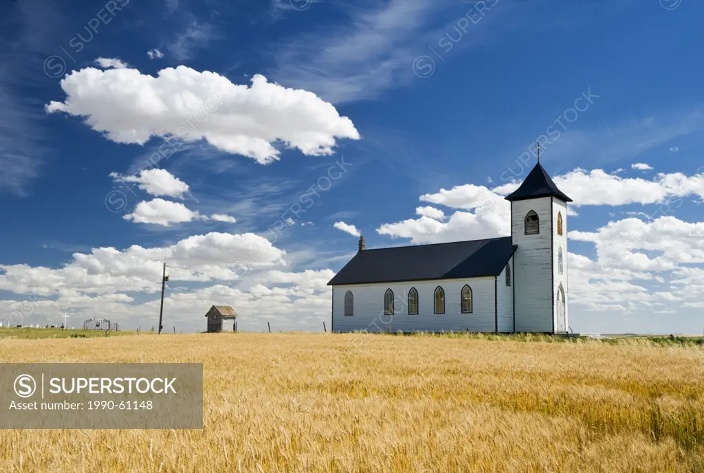 mature, harvest ready durum wheat field with St. Elizabeth Roman Catholic Church in the background, near Gravelburg, Saskatchewan, Canada