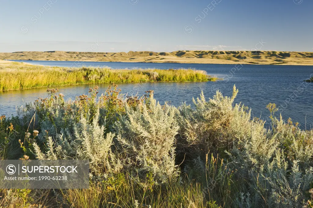 Saskatchewan Landing Provincial Park with Lake Diefenbaker in the background, , Saskatchewan, Canada