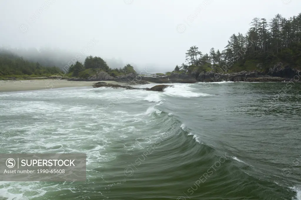 Waves swell up at the scenic Radar Beaches in Pacific Rim National Park near Tofino, British Columbia, Canada on Vancouver Island in Clayoquot Sound U...