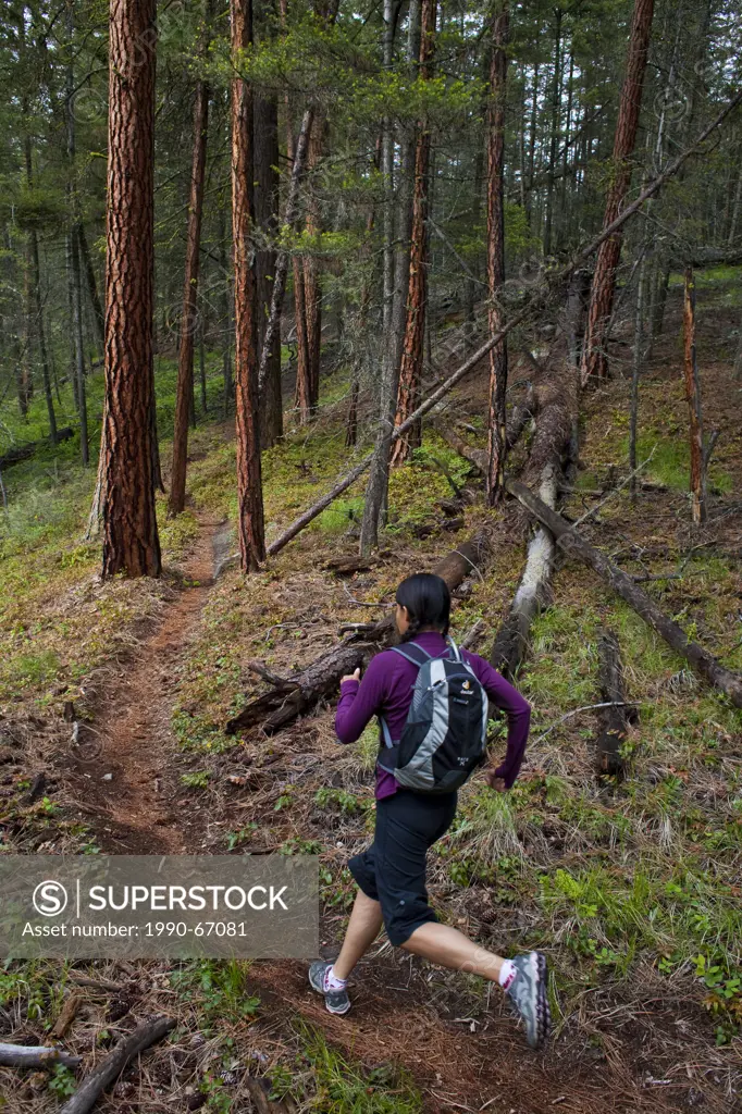 A young asian woman trail running in the 3 Blind Mice trail system. Penticton, BC