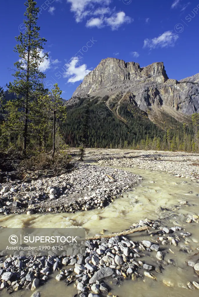 Alluvial ´Emerald´ fan at Emerald Lake, Yoho National Park, British Columbia, Canada