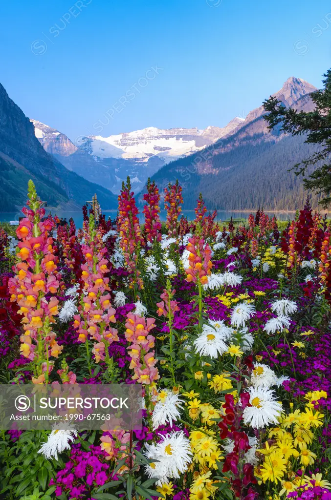 Flower display in front of Chateau Lake Louise, Banff National Park, Alberta, Canada