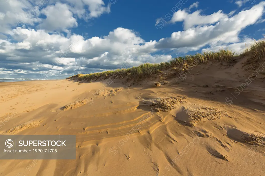 Sand Dune, Blooming Point Beach, Prince Edward Island National Park, Canada