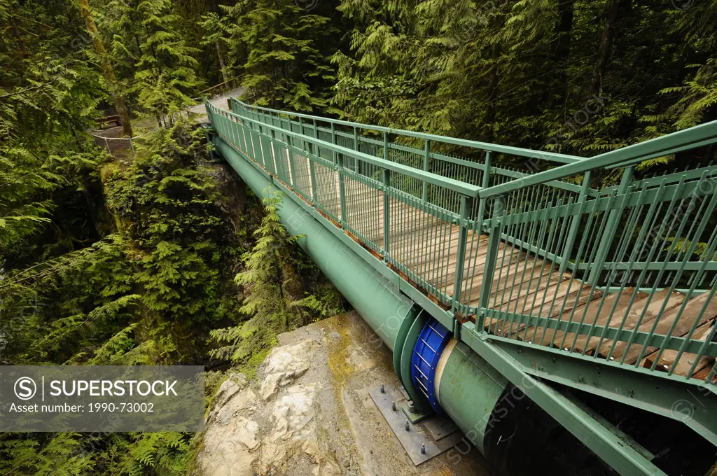 Rainforest and trail scenes in Capilano River Regional Park, Pipe Bridge, North Vancouver, British Columbia, Canada