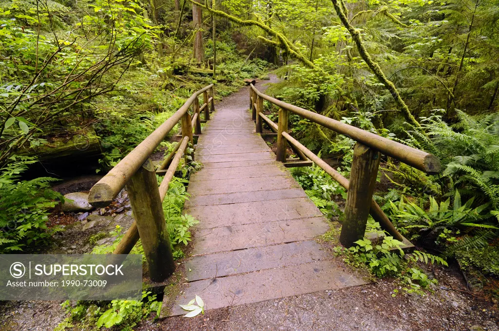 Rainforest and trail scenes in Capilano River Regional Park, North Vancouver, British Columbia, Canada