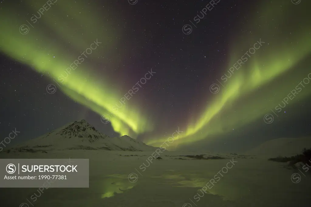 Aurora borealis or northern lights dance across the dark night sky, Dempster Highway, Yukon.