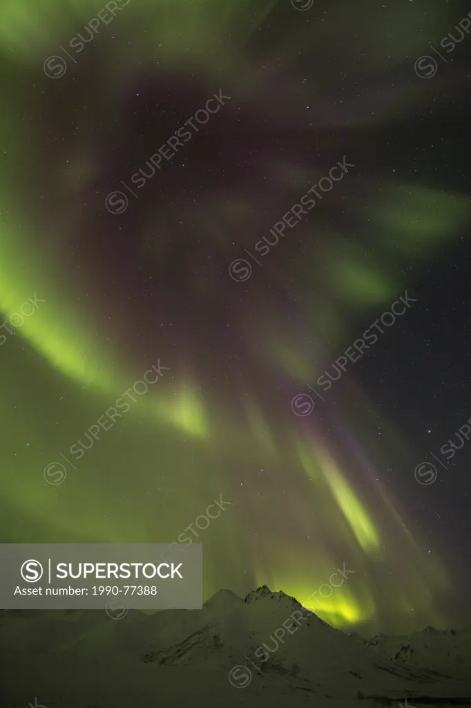 Aurora borealis or northern lights dance across the dark night sky, Dempster Highway, Yukon.