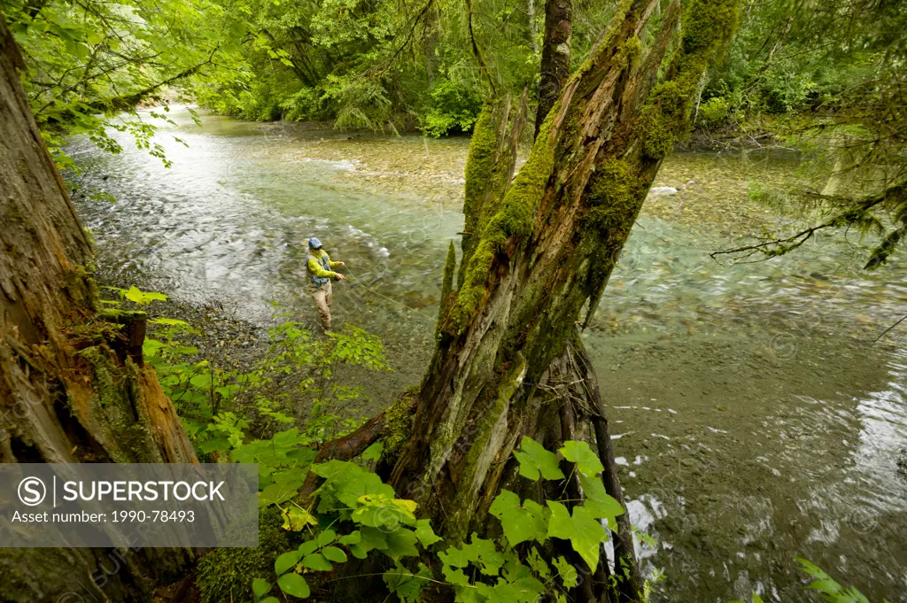 A young woman fly-fishing for trout on the Saloompt River, Bella Coola, British Columbia