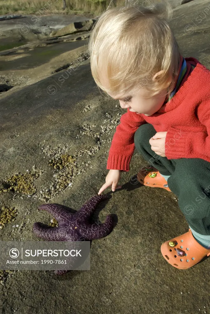 Young girl explores the intertidal life, Bellhouse Provincial Park, Galiano island, British Columbia, Canada