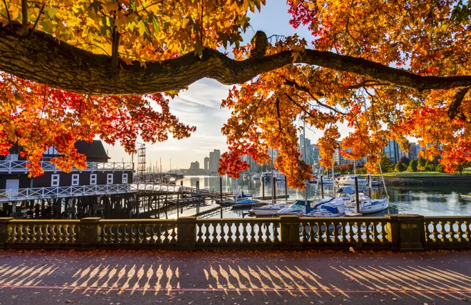 Sea wall at Coal Harbour in autumn.