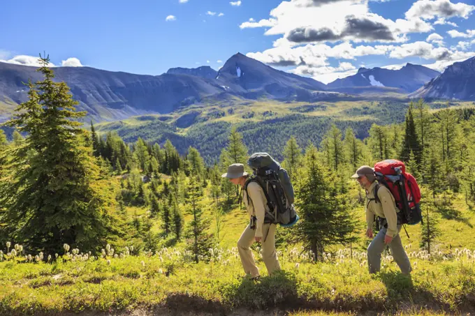 Two back packers hike the Citadel Pass trail from Sunshine Meadows along the Great Divide in Banff National Park, Alberta, Canada. Model Released