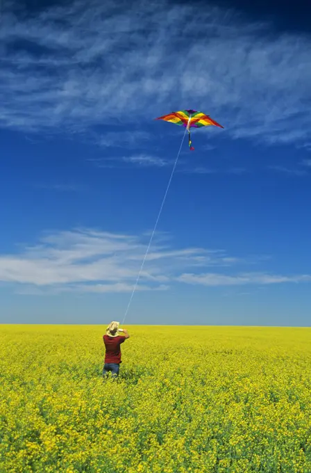 a teenage farm girl flies a kite in a bloom stage canola field, near Somerset, Manitoba, Canada