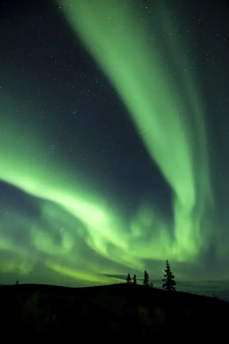 Aurora Borealis, Dawson City, Yukon, Canada
