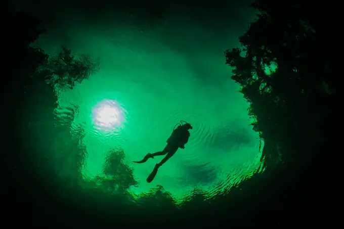 View of Scuba diver from the depths, Tubastrea tuaurea, Sombrero Island, Anilao, Philippines