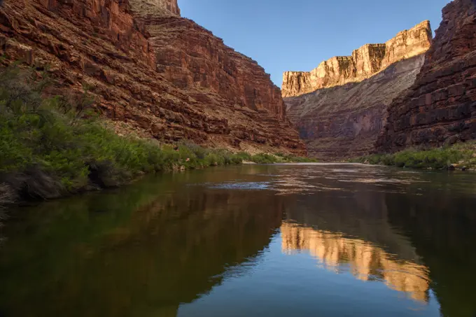 Grand Canyon cliff reflections in the Colorado River at daybreak (Georgie's Camp Mile 20), Grand Canyon National Park, Arizona, USA