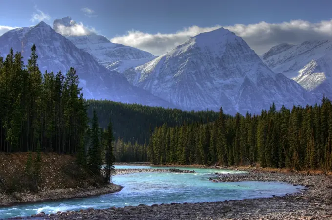 Athabasca River along the Columbia Icefields Parkway in Jasper National Park, Alberta, Canada