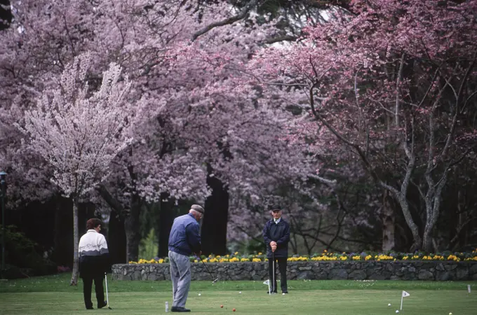 retired couple puts on practice green in Beacon Hill Park, Victoria, Vancouver Island, British Columbia, Canada