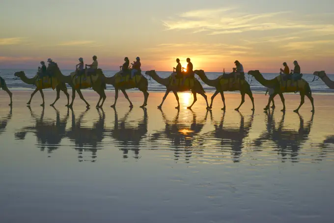 Camel Train on Beach, Cable Beach, in Broome, Western Australia, Tourist camel ride. 