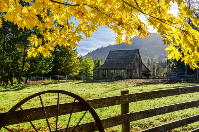 A farm in Glenora, British Columbia.