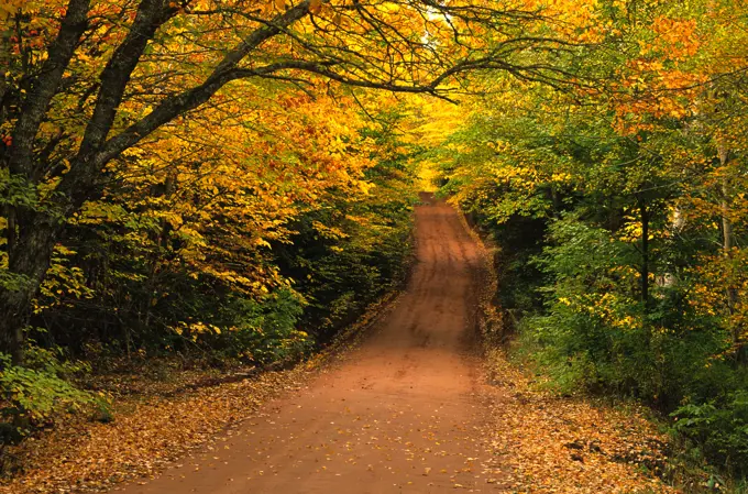 Clay dirt road, St  Catherines, Prince Edward Island, Canada