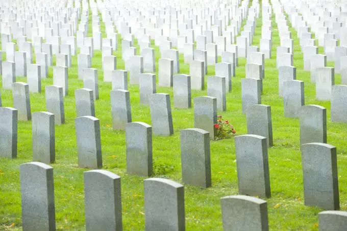 Woodland Cemetary showing endless grave sites and one patch of red flowers, Hamilton, Ontario, Canada