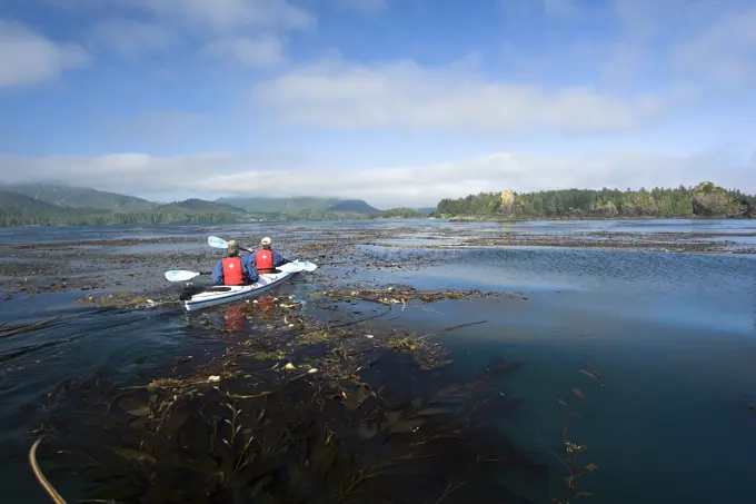 Kayakers in the Kyuquot Sound area paddle through rich kelp forests and the emerald green waters of Vancouver Island´s Northern West Coast. Kyuquot So...