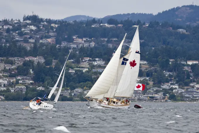 The Schooner, Maple Leaf under full sail transits the waters just off of Ogden Point during the Tall Ships Festival, held in Victoria. Victoria, South...