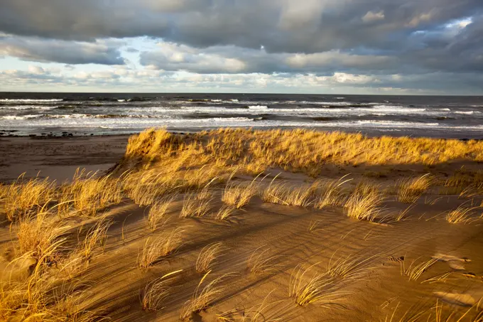 Sand dunes and Marram Grass, Brackley, Prince Edward Island National Park, Prince Edward Island, Canada