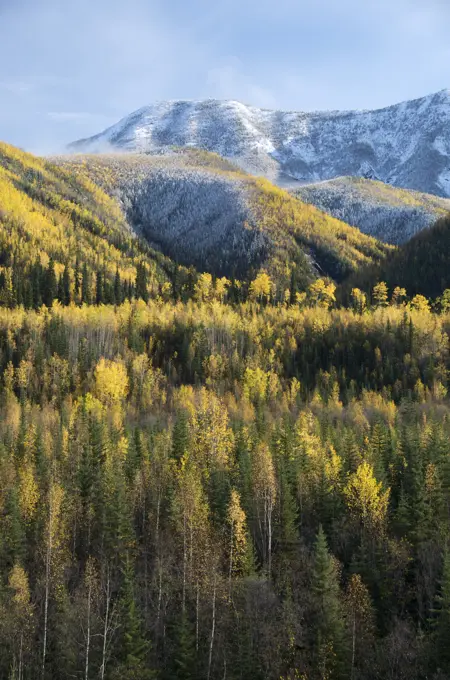 Northern Rocky Mountains with snow and autumn aspens, between Muncho Lake and Toad River, along Alaska Highway in British Columbia, Canada.