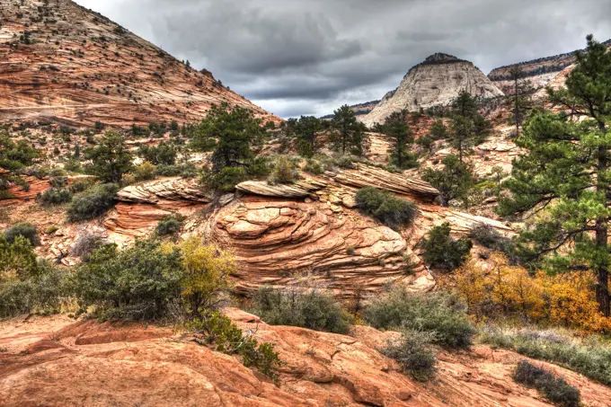 Along Zion Mt. Carmel Highway, Zion National Park, Utah, USA