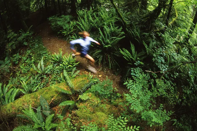 Woman running the trails below the Lynn Canyon Suspension Bridge, North Vancouver, British Columbia, Canada.