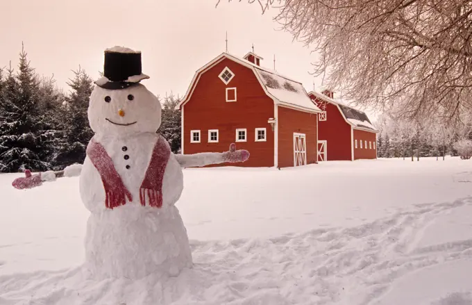 Red barn with snowman, winter, near Oakbank, Manitoba, Canada