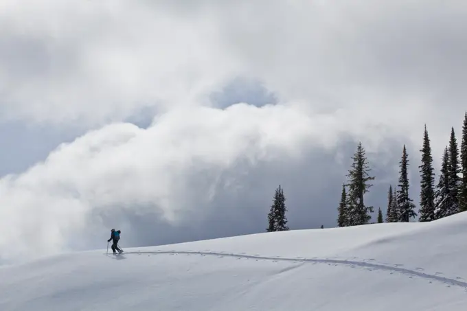 A man ski touring at Sol Mountain Lodge, Monashees, near Revelstoke, British Columbia, Canada