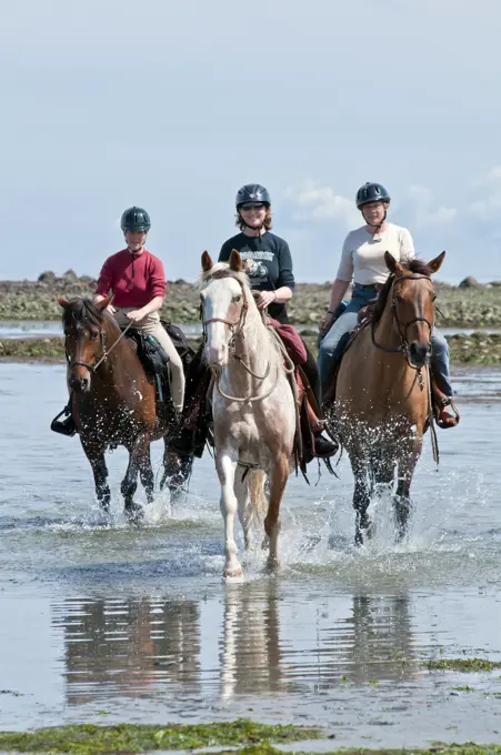 Women riding horses for recreation on the beach at Merville, Vancouver Island, British Columbia, Canada