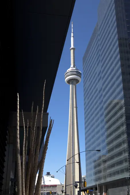 CN Tower from Air Canada Centre, Toronto, Canada