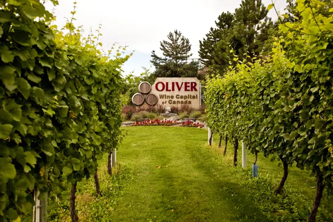 Oliver, Wine Capital of Canada, BC, Canada.