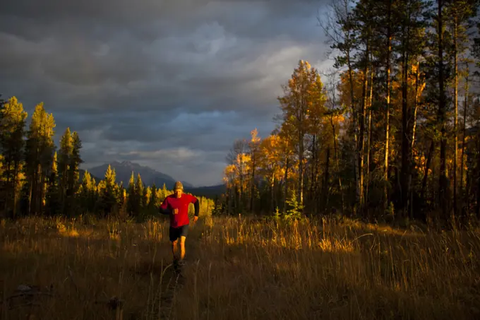 A young, fit woman trail running the Highline trail in Canmore, AB