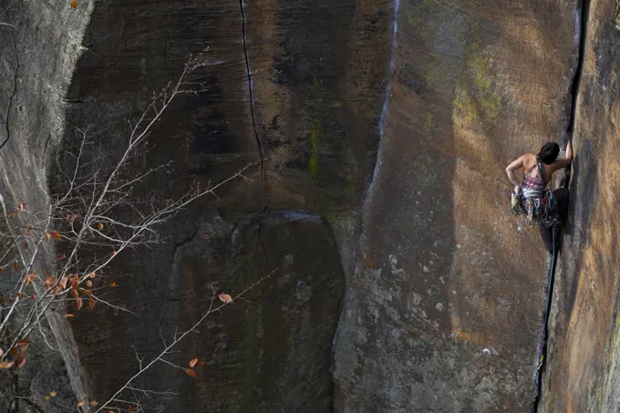 A female climber crack climbs Rite of Passage 5.9+, Red River Gorge, Kentucky